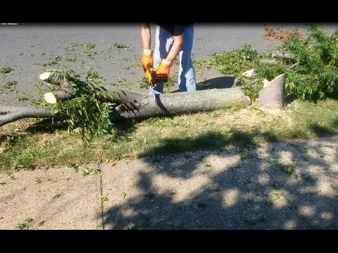Worx Electric Chainsaw Demo and review