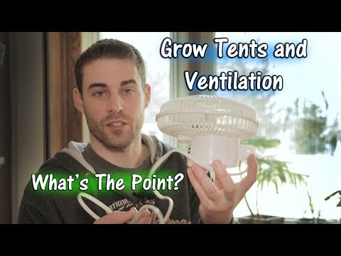 What Grow Tents Are For and How to Ventilate (For Beginners)